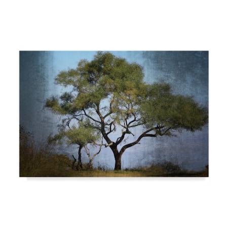 Beata Czyzowska Young 'Moody Tree' Canvas Art,22x32